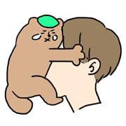 A raccoon dog and man