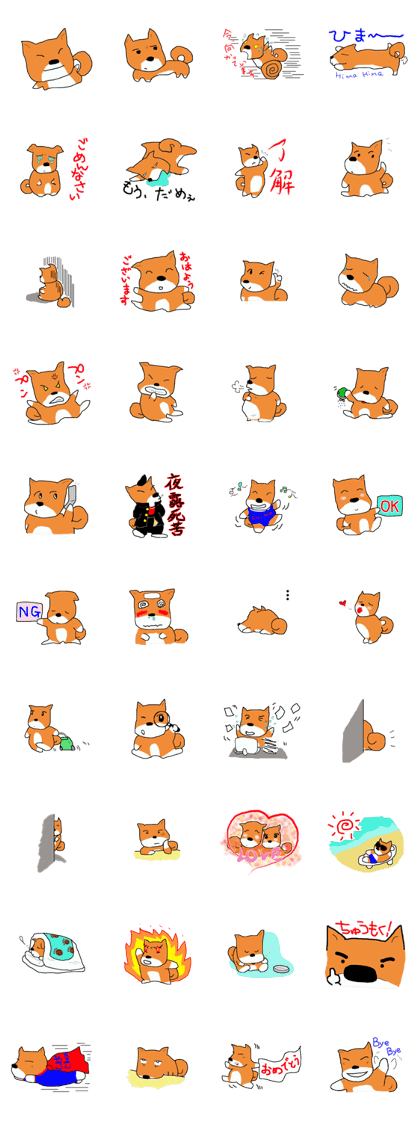 Shiba chan Tsundere Shiba Inu