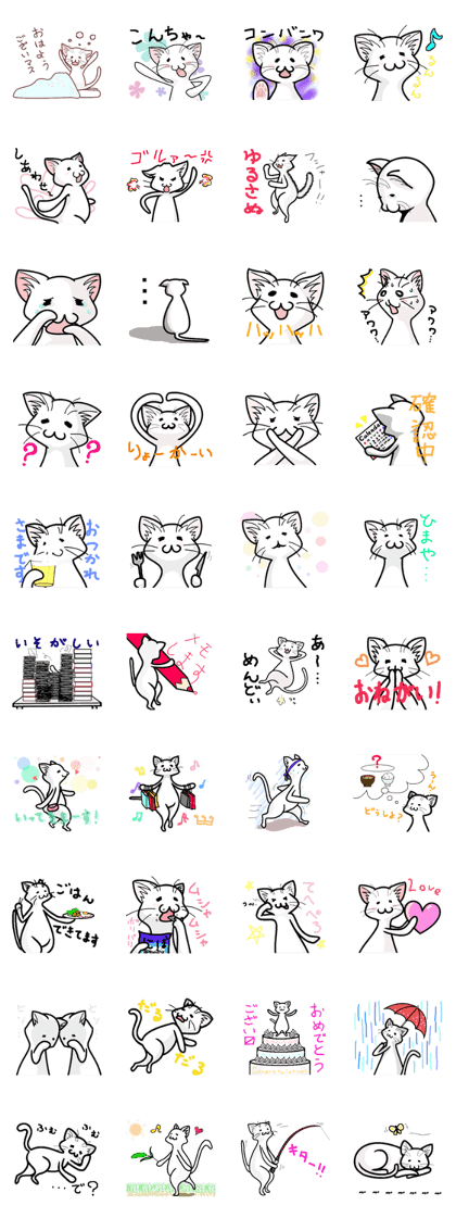 Dimly Cat @ White