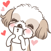 King & Bow 2 (Lovely Shih Tzu)