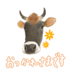薫る野牧場のジャージー牛さん達 (2)