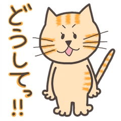 にゃおにゃおちゃん - LINE スタンプ | LINE STORE にゃおにゃおちゃん - LINE スタンプ | LINE STORE