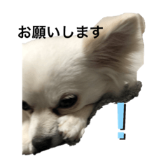 kokolife_20200519233440