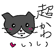 kawaii male cat ,mi 2-2