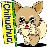 Cute Chihuahua dog