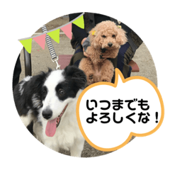 kero_20200520080306