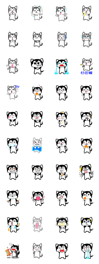 wow wow Huskies