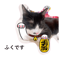 marina_20200520052390