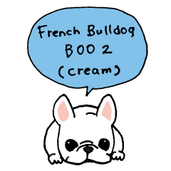 French Bulldog BOO2