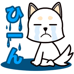 私は申し訳ありませんと悲しい謝罪です Line スタンプ Line Store 私は申し訳ありませんと悲しい謝罪です Line スタンプ Line Store