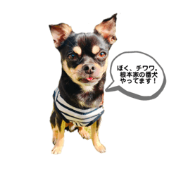 nanami_20200520154520