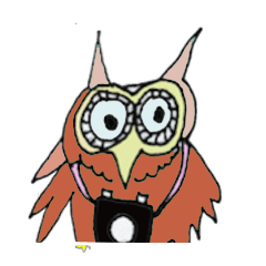 Cheerful Owl Sticker