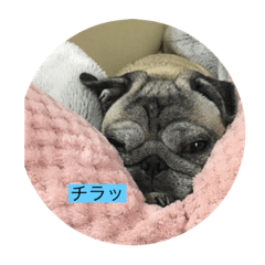 hana_20200520171844