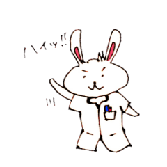 Pharmacist rabbit