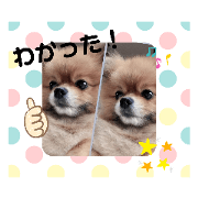 kanta_20200520103652