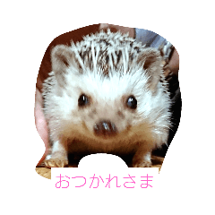 akiko_20200520082803