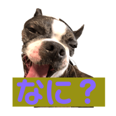 sayuri_20200520185613