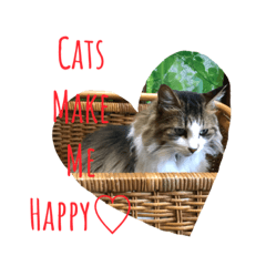 My sweet pets