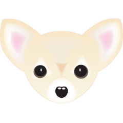 peaceful Chihuahua