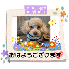 kero_buzz7