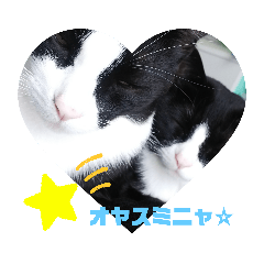 akiko_20200520153215