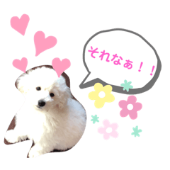 nanami_20200520200815