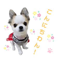 Stamp of Anzu