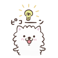 Soft and fluffy dog