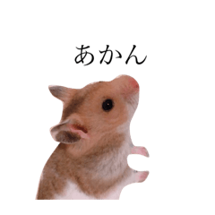 mizuki_20200520202359