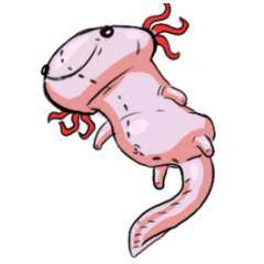 insane axolotl