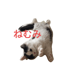 kazumi_20200521011636