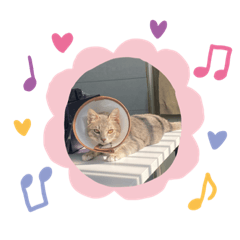 我是獎金❤️❤️