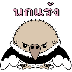 Condor 1 Thai version