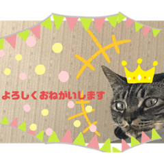 chie_20200521071331