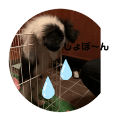 kero_reo10
