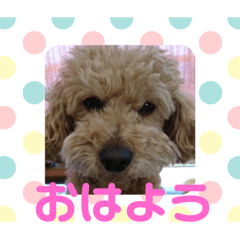 kero_buzz5