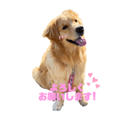 yumeImagama_20200517