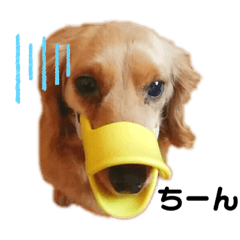 with Kinako every day