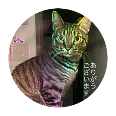 arisa_20200521150907