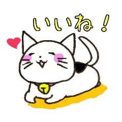 YURUYURU CAT