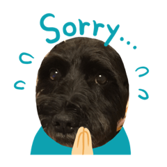 mayu_20200521151431112525