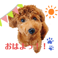 chibi_20200521154658