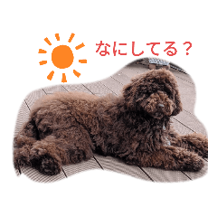 JUNKO_20200521163121