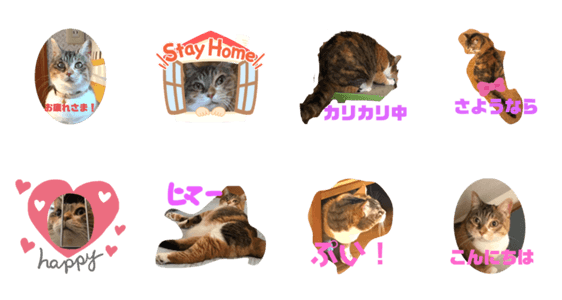 かわいい三毛猫スタンプ Lineクリエイターズスタンプ Stamplist