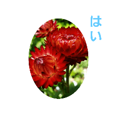 Ebine_20200521151809