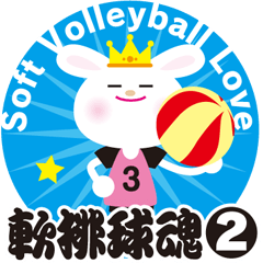 Soft volleyball Love 2
