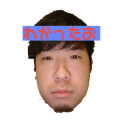 Toyo Toyo