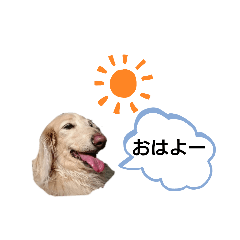 yukorin_20200521181329