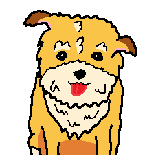 The scraggly dog, Toyon