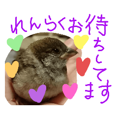 kichi_20200521140632